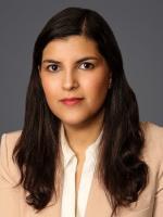 Nora M. Villalpando Badillo Employment Litigation Attorney Ogletree, Deakins, Nash, Smoak & Stewart Mexico City, Mexico